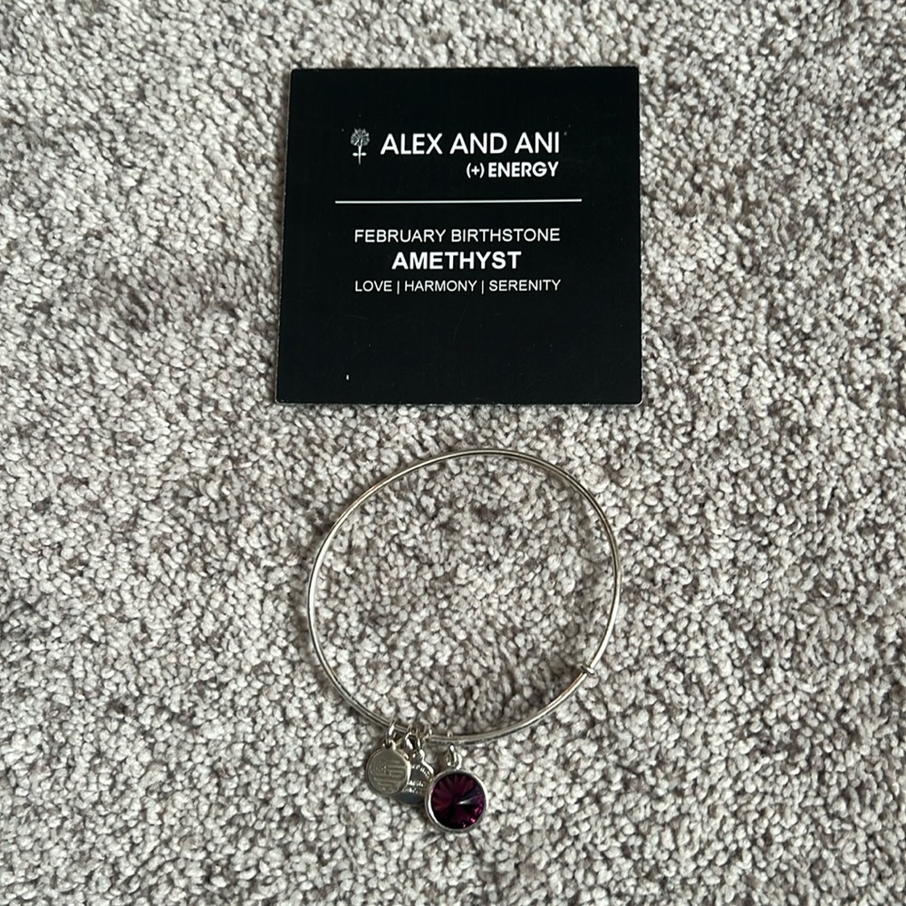 February Birth Stone Alex and Ani Silver Bracelet